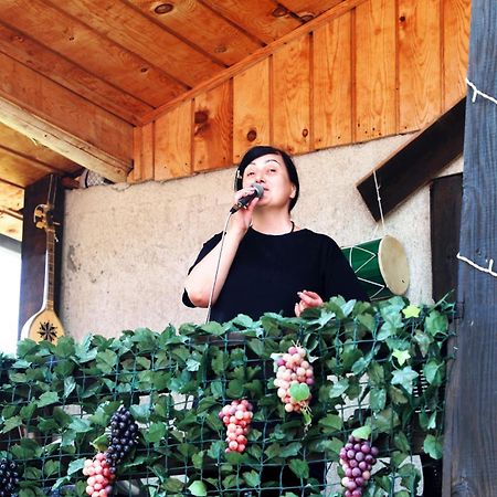 Nadia Guesthouse Μέστια Εξωτερικό φωτογραφία