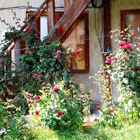 Nadia Guesthouse Μέστια Εξωτερικό φωτογραφία