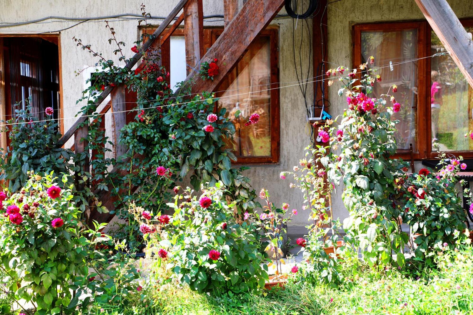 Nadia Guesthouse Μέστια Εξωτερικό φωτογραφία